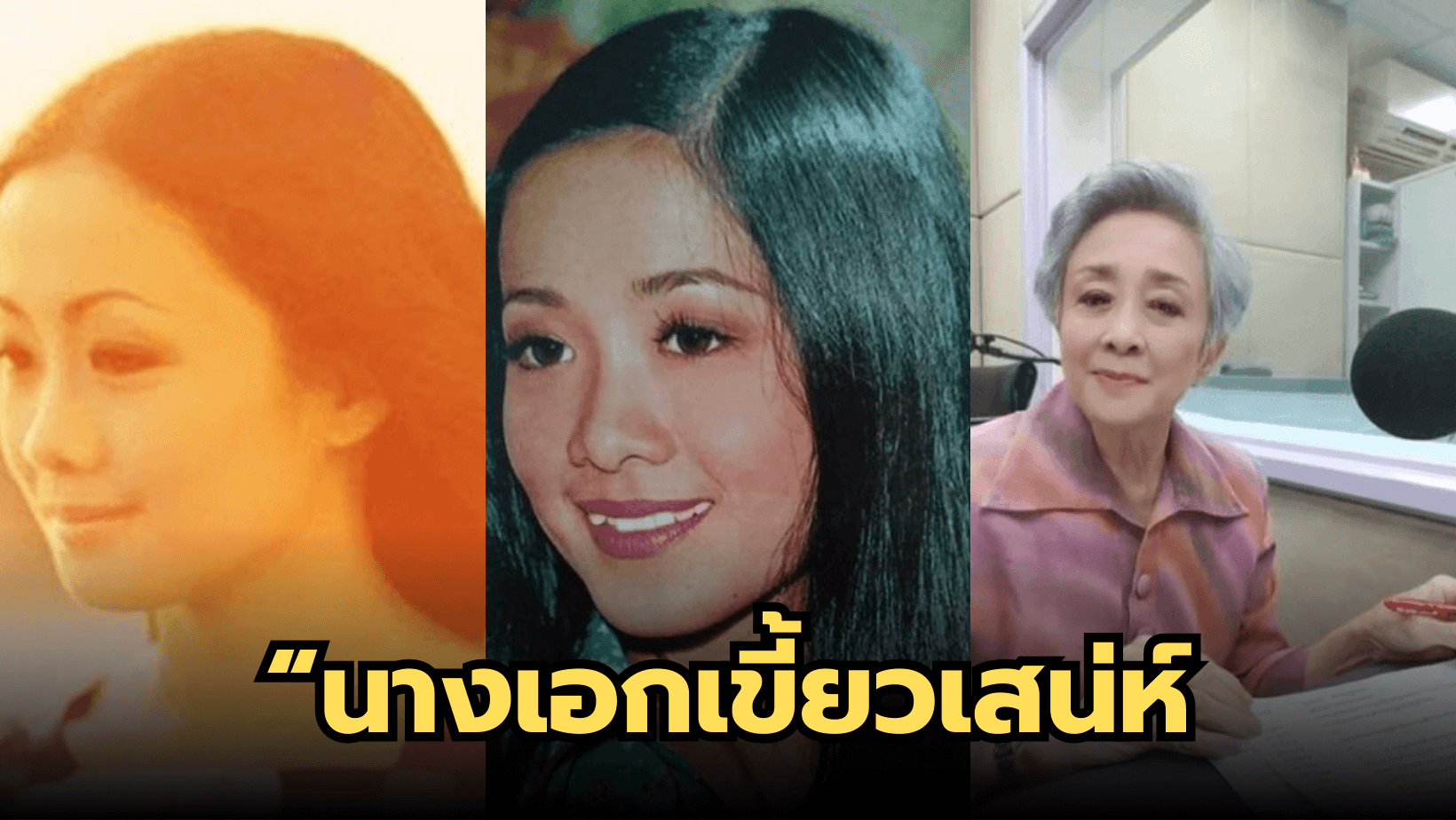 นิด ศันสนีย์ “นางเอกเขี้ยวเสน่ห์ สู่การเป็นนักพากย์”